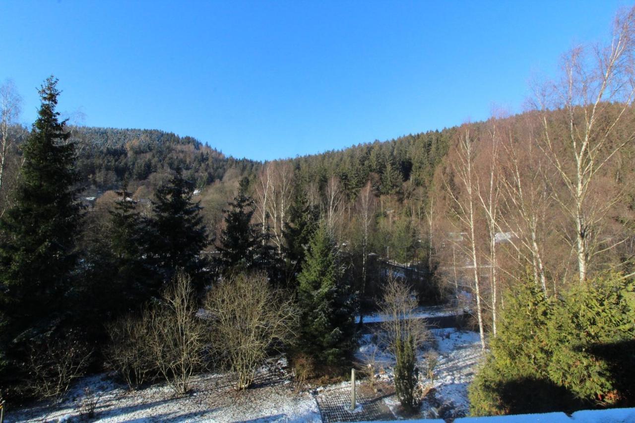 Home-Im-Harz Lautenthal Екстериор снимка